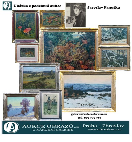 Aukce- Panuška